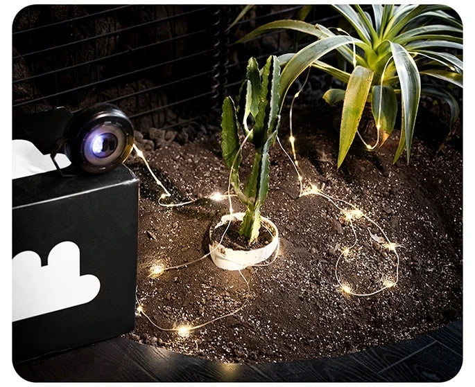 BLACKDOG Star Encounter Atmosphere Light 10m Camping Light Strip Canopy Light Lamp Lighting LED Lantern Tent Decoration Waterproof Rechargeable IPX4