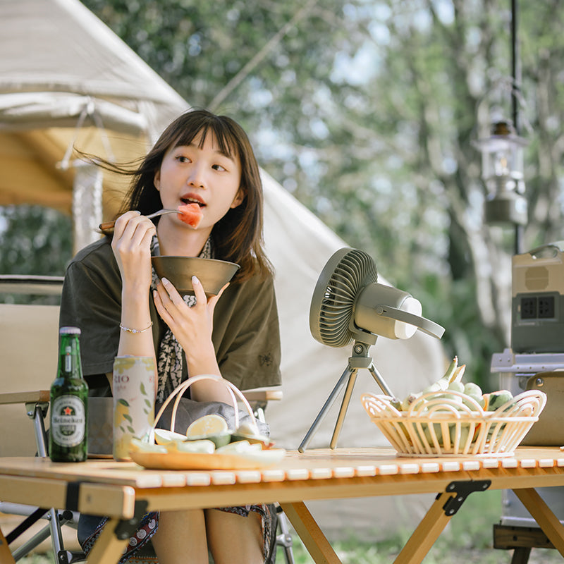 Naturehike Outdoor Multifunctional Electric Fan Portable USB Charging Camping Stand Hanging Fan Lamp Magnetic Atmosphere Light Tripod Claymore Type